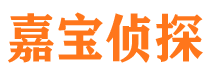 长岭市私人调查